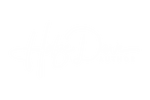 Halze Dawe Creations - Home
